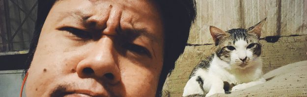 14catstore 14catstore