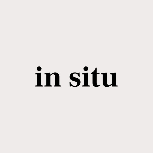 in situ